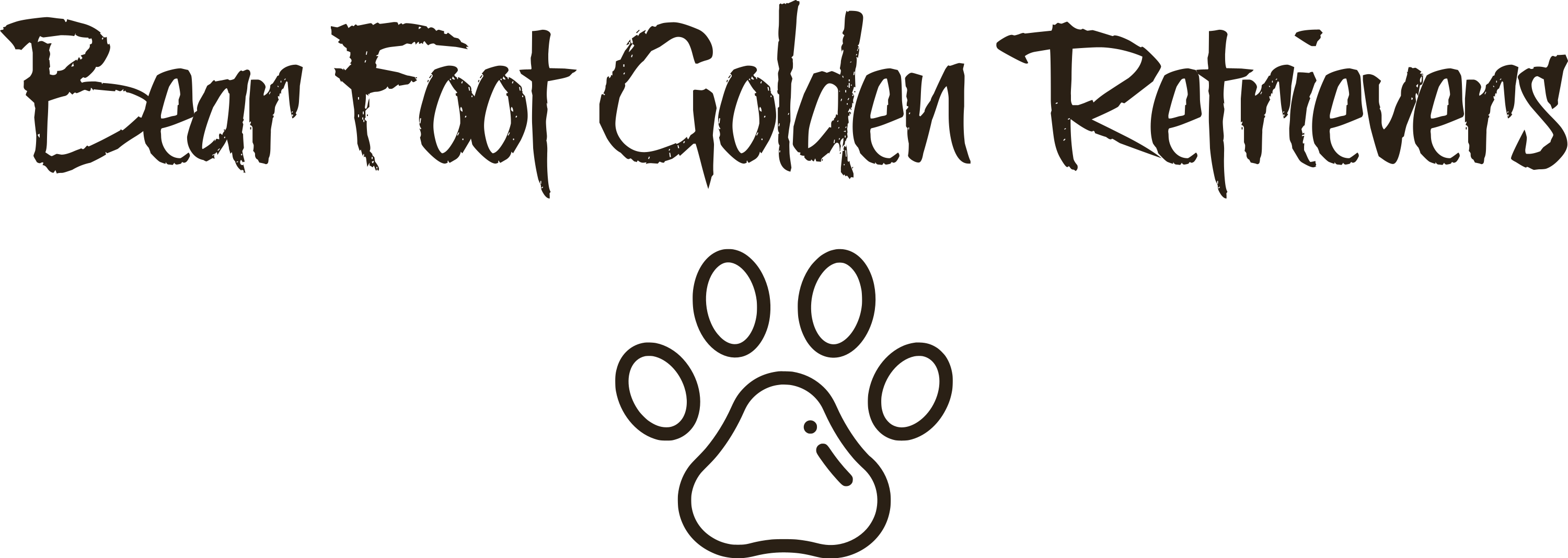 Bear Foot Golden Retrievers