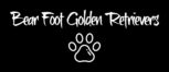 Bear Foot Golden Retrievers